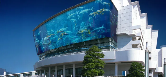 Медиа-фасады — современная тенденция в сфере архитектуры и дизайна