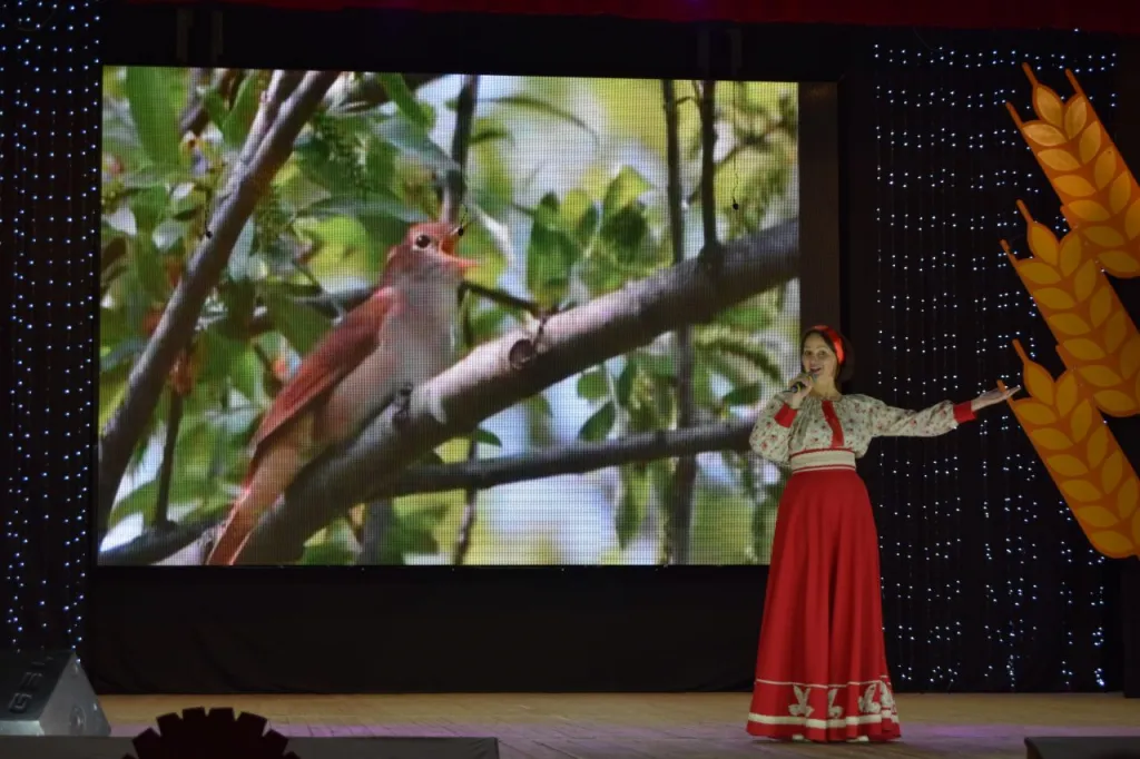 г. Кармаскалы́, Светодиодный экран во дворце культуры. Картинка 2