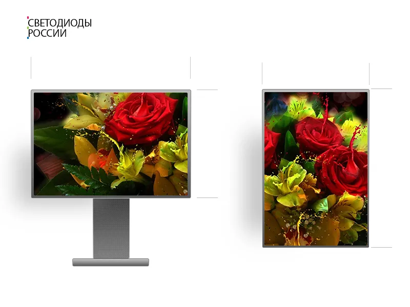 Экспертиза